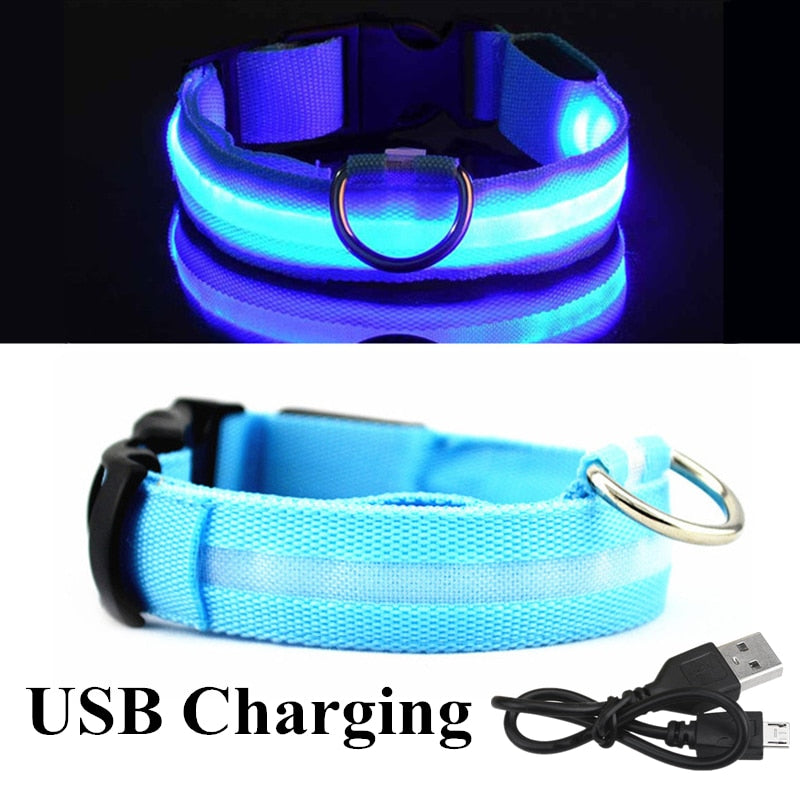 LED Dog Collar